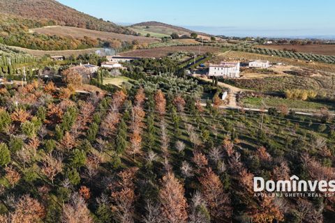 Landejendom i Capalbio, Grosseto, Capalbio - € 1.070.000 | Ref: V-253 - foto 9