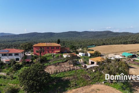 Landejendom i Capalbio, Grosseto, Capalbio - € 295.000 | Ref: v-257 - foto 2