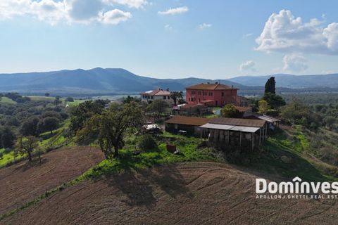 Landejendom i Capalbio, Grosseto, Capalbio - € 295.000 | Ref: v-257 - foto 3