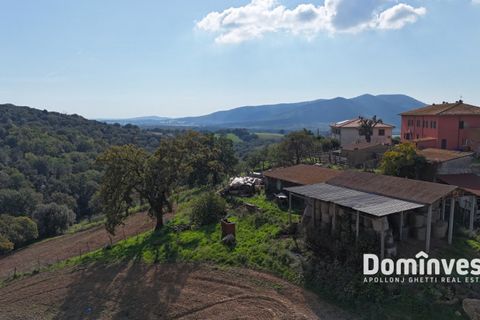Landejendom i Capalbio, Grosseto, Capalbio - € 295.000 | Ref: v-257 - foto 4