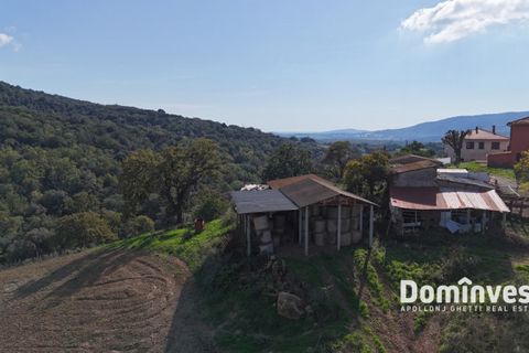 Landejendom i Capalbio, Grosseto, Capalbio - € 295.000 | Ref: v-257 - foto 5