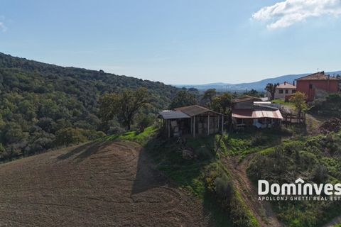 Landejendom i Capalbio, Grosseto, Capalbio - € 295.000 | Ref: v-257 - foto 6