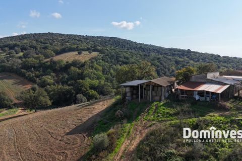 Landejendom i Capalbio, Grosseto, Capalbio - € 295.000 | Ref: v-257 - foto 7