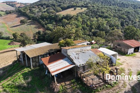 Landejendom i Capalbio, Grosseto, Capalbio - € 295.000 | Ref: v-257 - foto 8