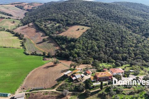 Landejendom i Capalbio, Grosseto, Capalbio - € 295.000 | Ref: v-257 - foto 9