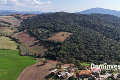 Landejendom i Capalbio, Grosseto, Capalbio - € 295.000 | Ref: v-257 - foto 10