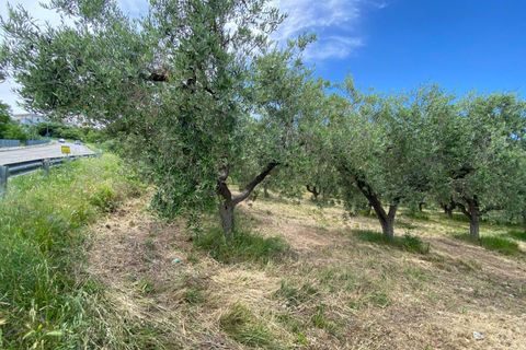 Helårsgrund i Cupello, Chieti, Cupello - € 19.000 | Ref: 514SS - foto 2