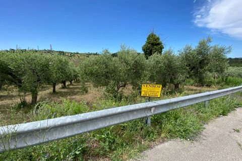 Helårsgrund i Cupello, Chieti, Cupello - € 19.000 | Ref: 514SS - foto 3