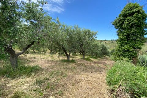 Helårsgrund i Cupello, Chieti, Cupello - € 19.000 | Ref: 514SS - foto 4