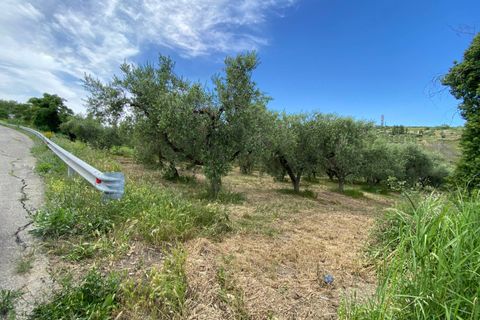 Helårsgrund i Cupello, Chieti, Cupello - € 19.000 | Ref: 514SS - foto 5