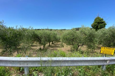 Helårsgrund i Cupello, Chieti, Cupello - € 19.000 | Ref: 514SS - foto 6