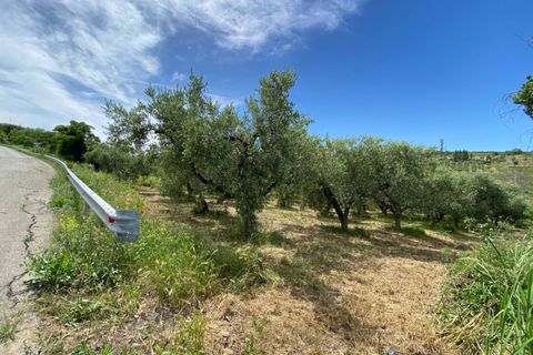Helårsgrund i Cupello, Chieti, Cupello - € 19.000 | Ref: 514SS - foto 7