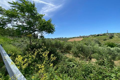 Helårsgrund i Cupello, Chieti, Cupello - € 19.000 | Ref: 514SS - foto 10
