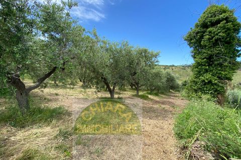 Helårsgrund i Cupello, Chieti, Cupello - € 18.000 | Ref: 514ST - foto 1
