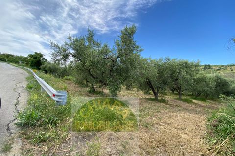 Helårsgrund i Cupello, Chieti, Cupello - € 18.000 | Ref: 514ST - foto 2