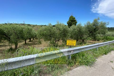 Helårsgrund i Cupello, Chieti, Cupello - € 18.000 | Ref: 514ST - foto 4