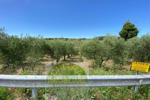 Helårsgrund i Cupello, Chieti, Cupello - € 18.000 | Ref: 514ST - foto 5