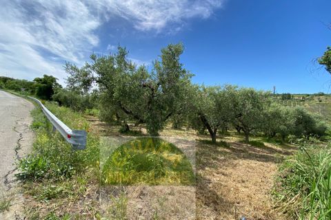 Helårsgrund i Cupello, Chieti, Cupello - € 18.000 | Ref: 514ST - foto 6