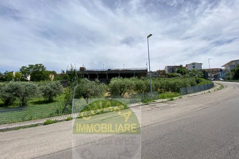 Helårsgrund i Cupello, Chieti, Cupello - € 18.000 | Ref: 514ST - foto 8