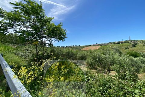 Helårsgrund i Cupello, Chieti, Cupello - € 18.000 | Ref: 514ST - foto 10