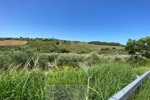 Helårsgrund i Cupello, Chieti, Cupello - € 18.000 | Ref: 514ST - foto 12