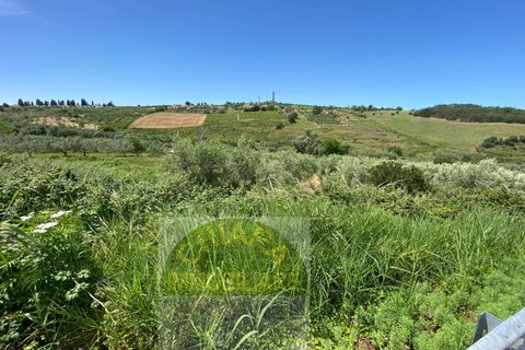Helårsgrund i Cupello, Chieti, Cupello - € 18.000 | Ref: 514ST - foto 14