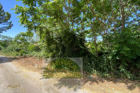 Helårsgrund i Cupello, Chieti, Cupello - € 18.000 | Ref: 514ST - foto 15