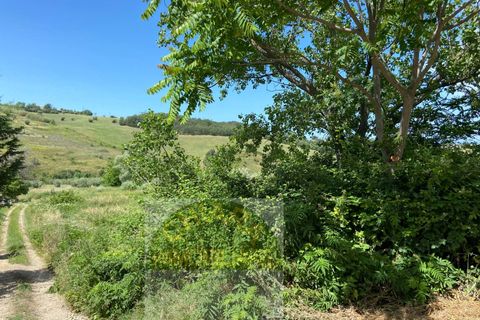 Helårsgrund i Cupello, Chieti, Cupello - € 18.000 | Ref: 514ST - foto 16