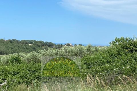 Helårsgrund i Cupello, Chieti, Cupello - € 18.000 | Ref: 514ST - foto 18