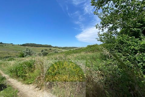 Helårsgrund i Cupello, Chieti, Cupello - € 18.000 | Ref: 514ST - foto 19