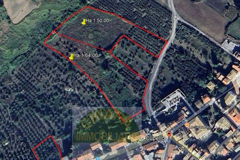 Helårsgrund i Cupello, Chieti, Cupello - € 18.000 | Ref: 514ST - foto 21