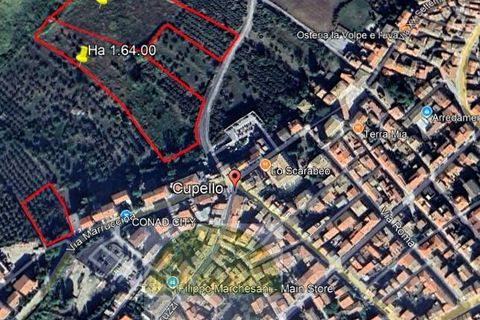 Helårsgrund i Cupello, Chieti, Cupello - € 18.000 | Ref: 514ST - foto 22