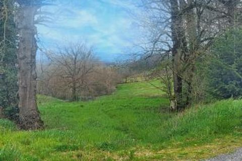 Terra a Montfa, Tarn, Montfa - € 350.000 | Ref: DOM29208 - foto 2