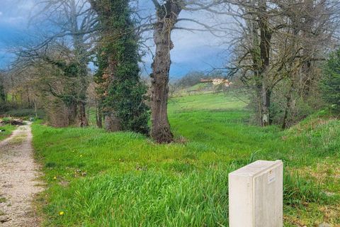 Terra a Montfa, Tarn, Montfa - € 350.000 | Ref: DOM29208 - foto 3