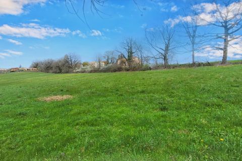 Terra a Montfa, Tarn, Montfa - € 350.000 | Ref: DOM29208 - foto 5