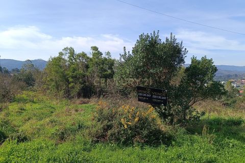 Helårsgrund i Paredes, Porto, Paredes - € 120.000 | Ref: C0412-00945 - foto 3