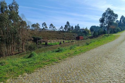Helårsgrund i Paredes, Porto, Paredes - € 120.000 | Ref: C0412-00945 - foto 5