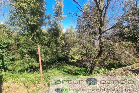 Helårsgrund i Arcos de Valdevez, Viana do Castelo, Arcos de Valdevez - € 75.000 | Ref: 7195 - foto 2