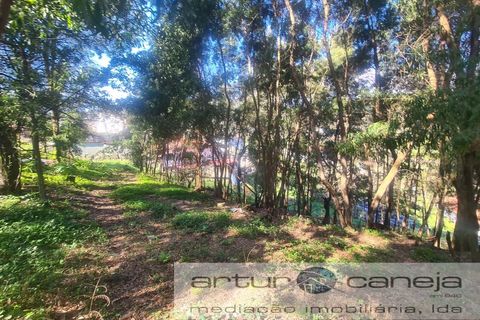 Helårsgrund i Arcos de Valdevez, Viana do Castelo, Arcos de Valdevez - € 75.000 | Ref: 7195 - foto 3
