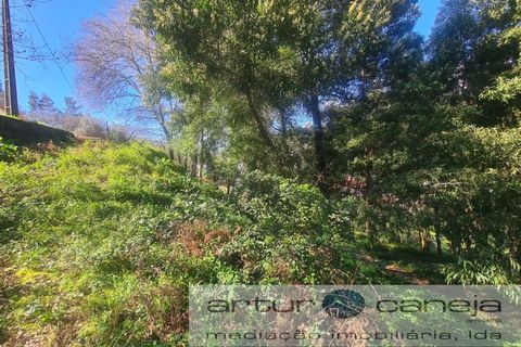 Helårsgrund i Arcos de Valdevez, Viana do Castelo, Arcos de Valdevez - € 75.000 | Ref: 7195 - foto 4