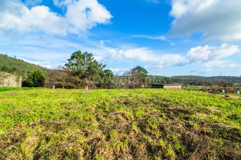 Helårsgrund i Barcelos, Braga, Barcelos - € 98.000 | Ref: 254260653 - foto 13