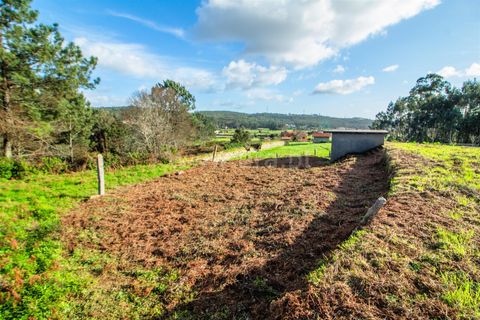 Helårsgrund i Barcelos, Braga, Barcelos - € 98.000 | Ref: 254260653 - foto 14
