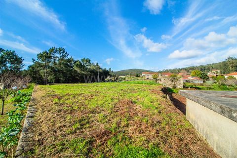 Helårsgrund i Barcelos, Braga, Barcelos - € 98.000 | Ref: 254260653 - foto 16