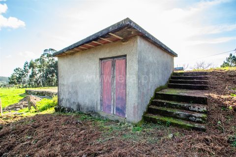 Helårsgrund i Barcelos, Braga, Barcelos - € 98.000 | Ref: 254260653 - foto 18