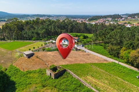Helårsgrund i Barcelos, Braga, Barcelos - € 98.000 | Ref: 254260653 - foto 9