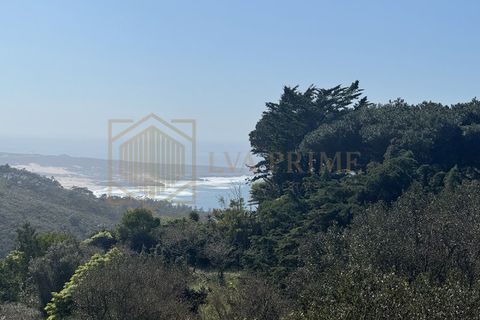 Villa i Almocageme, Lisbon, Almocageme - € 1.950.000 | Ref: CAS_33 - foto 25