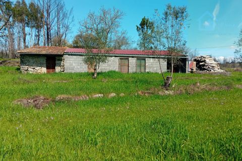 Villa i Mangualde, Viseu, Mangualde - € 198.000 | Ref: Q37 - foto 7