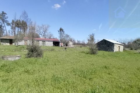 Villa i Mangualde, Viseu, Mangualde - € 198.000 | Ref: Q37 - foto 8
