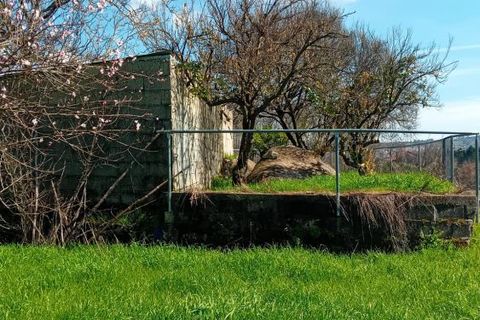 Villa i Mangualde, Viseu, Mangualde - € 198.000 | Ref: Q37 - foto 9