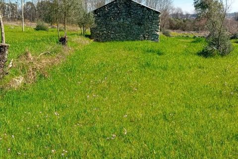 Villa i Mangualde, Viseu, Mangualde - € 198.000 | Ref: Q37 - foto 10